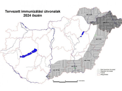 Veszettség elleni immunizálási kampány